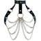 HARNESS