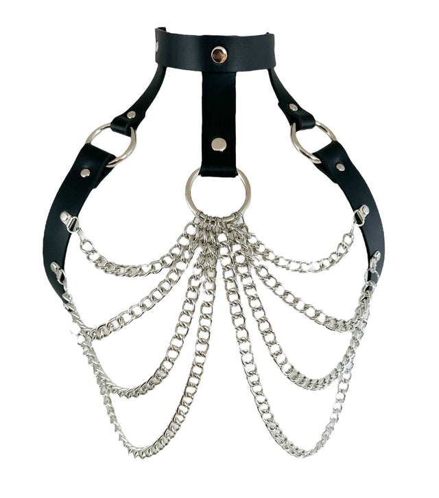 HARNESS