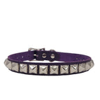 PURPLE / Silver PMD