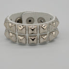 Silver PMD