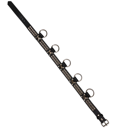 BT426 2 ROW PYRAMID STUD BELT WITH BIG DEE RING