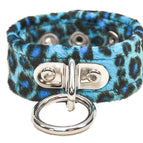 Blue Leopard