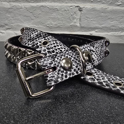 BT117SNK-WHT  WHITE SNAKE 2 ROW PYRAMID STUD BELT