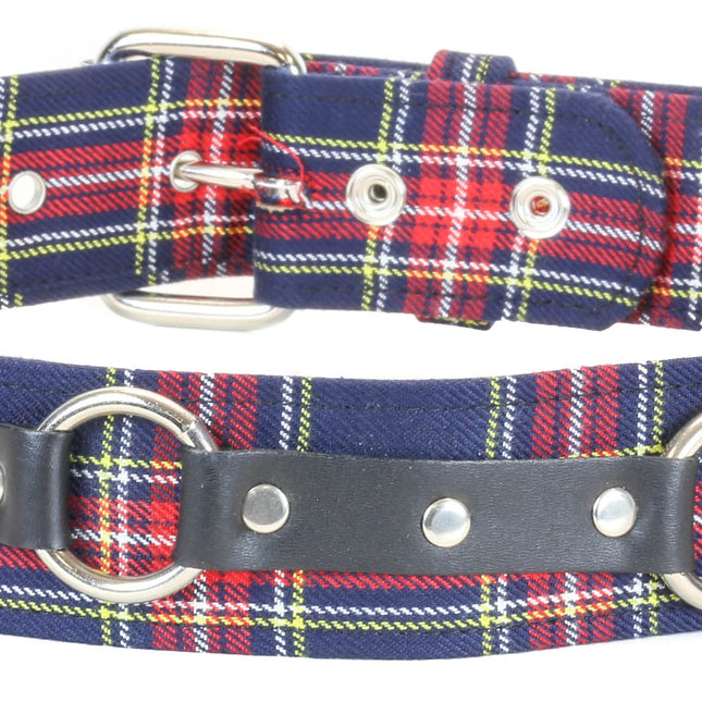 BT167PD-BLUE PLAID RING STRAP BELT