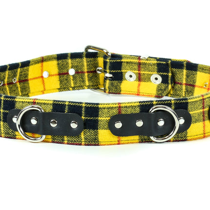 BT219PD-YEL PLAID DEE RING BONDAGE CHAIN  BELT