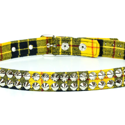 BT444PD-YEL CONE STUDDED BELT PLAID
