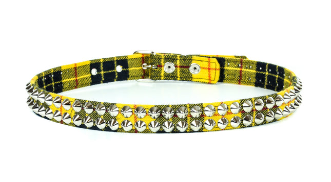 BT444PD-YEL CONE STUDDED BELT PLAID