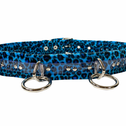 BT562L-BLU LEOPARD  LARGE O RING STRAPPED BONDAGE BELT