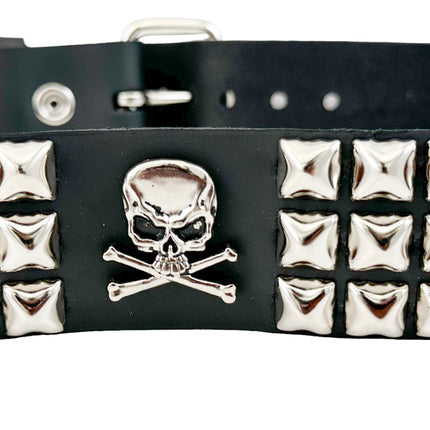 BT641 STUDDED SKULL BELT