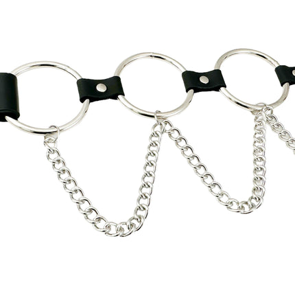 BT650-250     2 1/2" LARGE RING LINK BELT WITH CHAIN