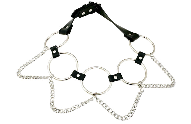 BT650-250     2 1/2" LARGE RING LINK BELT WITH CHAIN