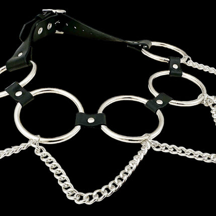 BT650-250     2 1/2" LARGE RING LINK BELT WITH CHAIN