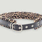 BROWN LEOPARD / S