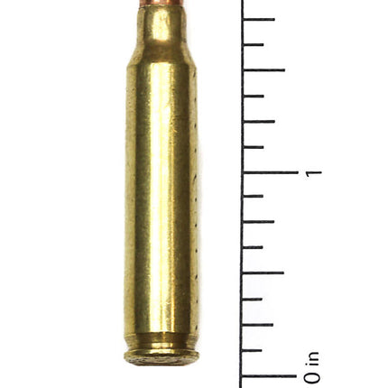 BULLET.223 REAL .223 M16 BULLET 1 1/4" LONG MINIMUM