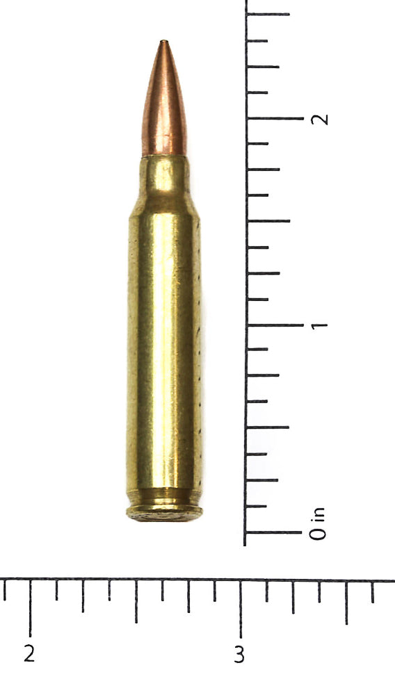 BULLET.223 REAL .223 M16 BULLET 1 1/4" LONG MINIMUM