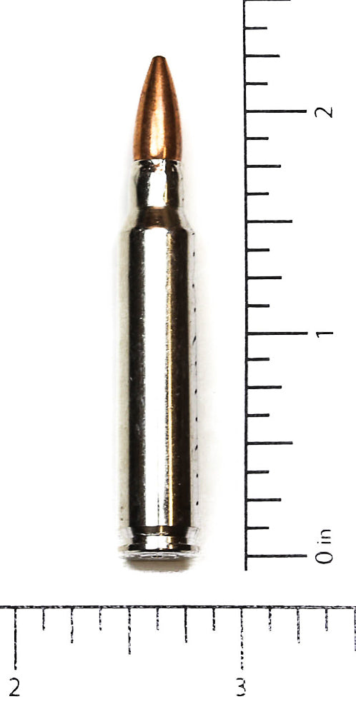 BULLET.223 REAL .223 M16 BULLET 1 1/4" LONG MINIMUM