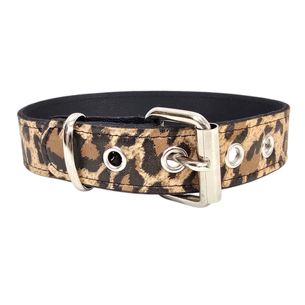 CK100-075L-CHEETAH 3/4" PLAIN GENUINE LEATHER LEOPARD CHEETAH