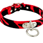RED ZEBRA