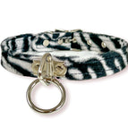 WHITE ZEBRA