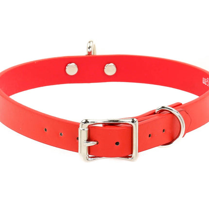 CK129M VEGAN COLOR BONDAGE 3/4"