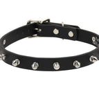 SPIKE S SILVER / Black Leather