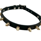 Spike s Gold