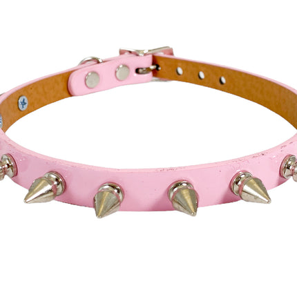 CK135 SHINY NEON PASTEL