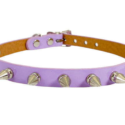 CK135 SHINY NEON PASTEL
