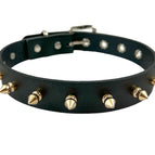 SPIKE S GOLD