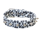 WHITE LEOPARD