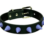 BLACK-PURPLE