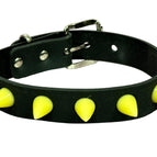 BLACK-YELLOW