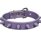 PURPLE-PURPLE