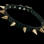 SPIKE SC GOLD