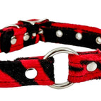 RED ZEBRA