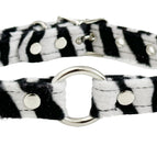 WHITE ZEBRA