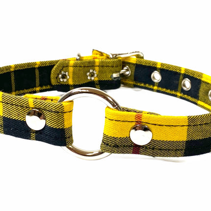 CK169PD PLAID RINGE PUNK CHOKER