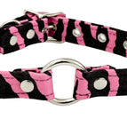 BLACK ZEBRA