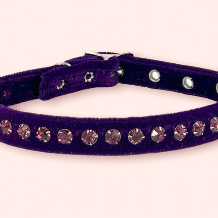 CK247 VELVET WITH MATCHING COLOR STONE
