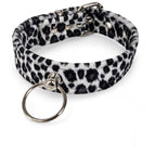 WHITE LEOPARD