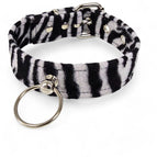 WHITE ZEBRA