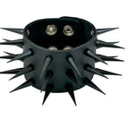 SPIKE BLACK