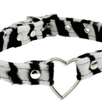 WHITE ZEBRA