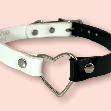 FC223 MULTI COLOR NEON