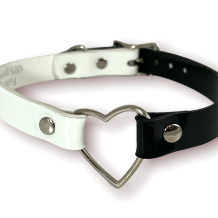 FC223 MULTI COLOR NEON