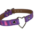 PURPLE RAINBOW