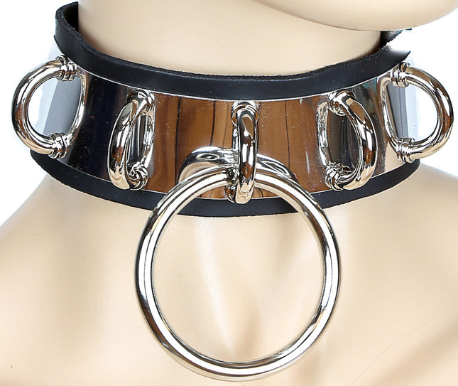 FC251METAL 2" RING AND 1 ROW D RINGS