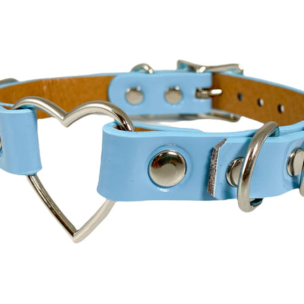 FC365N SHINY NEON  PASTEL