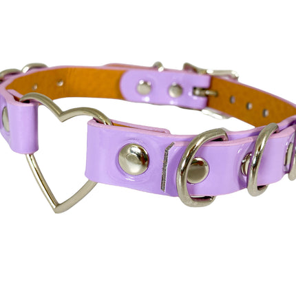 FC365N SHINY NEON  PASTEL