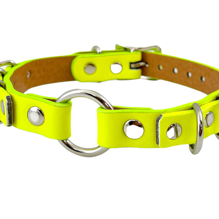 FC366M D RING VEGAN COLOR